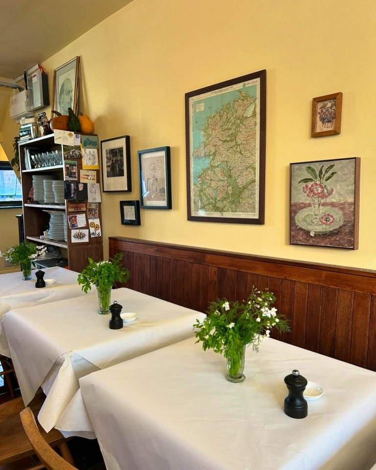 yellow bittern bookings 14112024032238 768x960