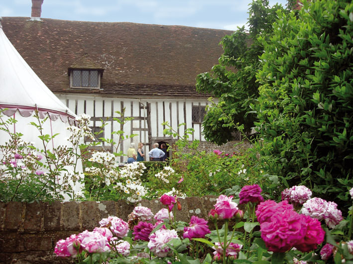 yuplp8quwlrt9ufkicbt