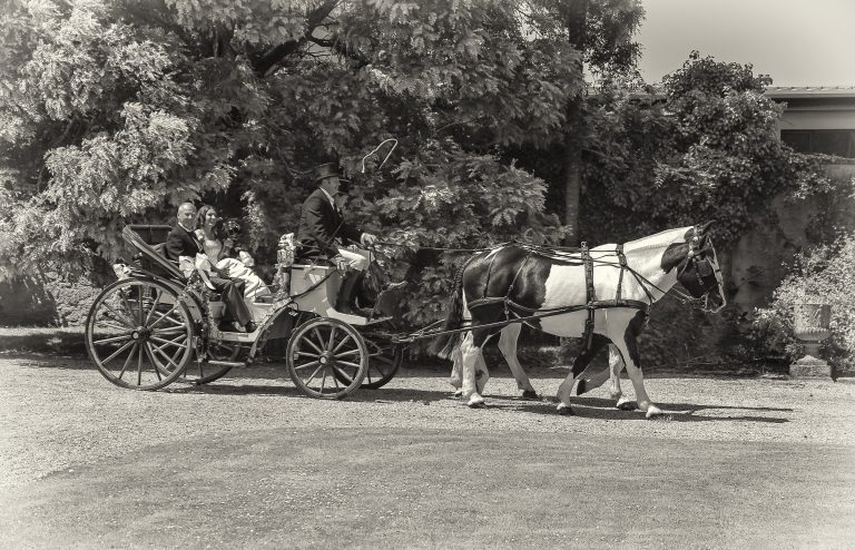 zb100 rxksty 768x494