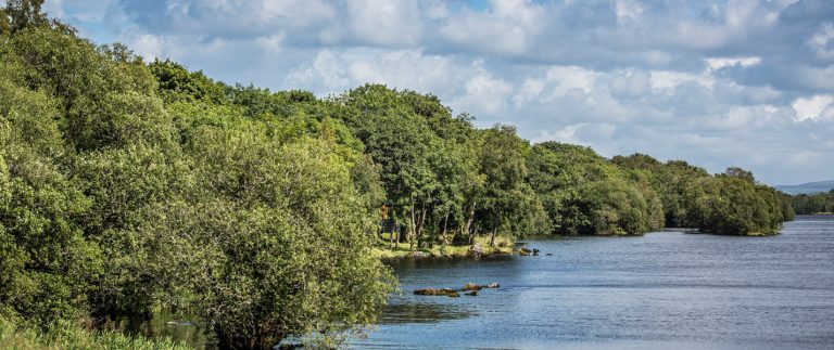 zxmwzfu62ms7uf5sts0y 768x323